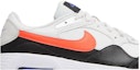Order Nike Air Max SC 'Platinum Tint Bright Crimson' - Platinum Tint Bright Crimson CW4555-007