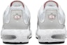 Purchase Nike Air Max Terrascape Plus 'Pure Platinum Gym Red' Lelaki/Wanita DV7513-001