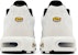 Nike Air Max Terrascape Plus 'Semburan Cat Swoosh' FD0658-100