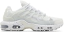 Buy 耐克Air Max Terrascape Plus '白色纯铂金' DQ3977-100