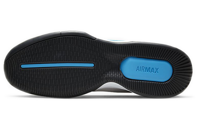 Details for Nike Air Max Wildcard HC 灰藍