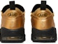 Details for Nike Air More Money 'Emas Metalik' AJ2998-700