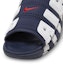 Details for Nike Air Lebih Uptempo FQ8699-400