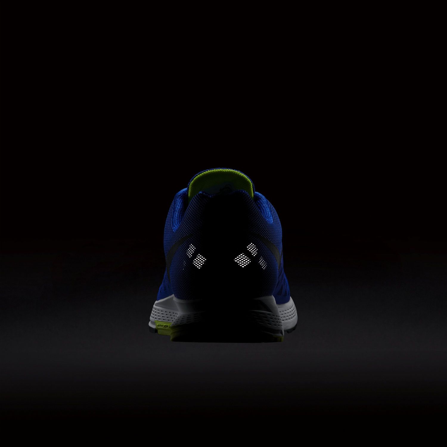 Nike Air Pegasus 31 'Blue'