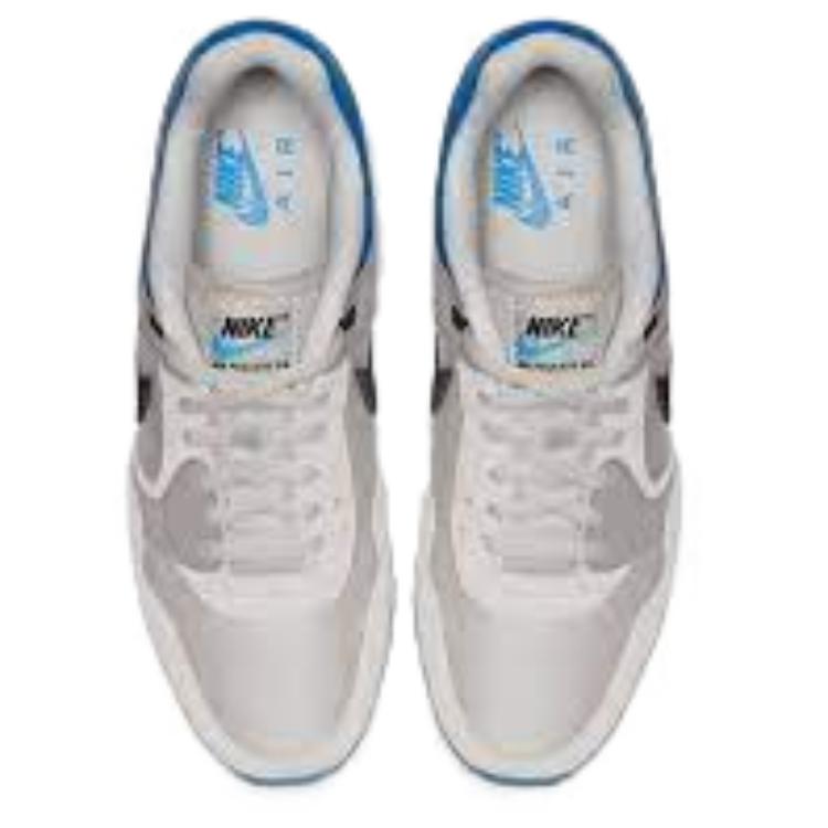 Shop Nike Air Pegasus 89 SE ''Licht Bone Blauw'' CI6396-001