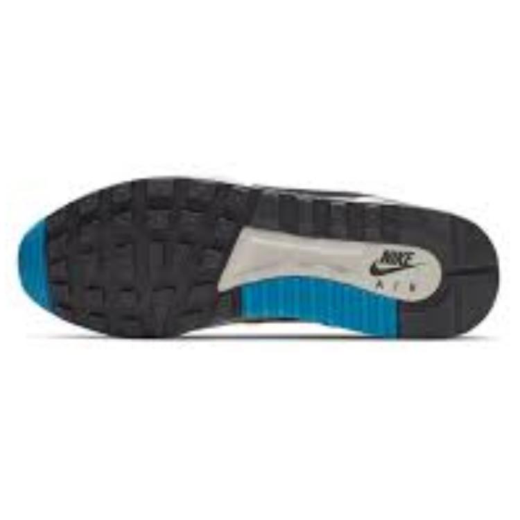 Details for Nike Air Pegasus 89 SE ''Licht Bone Blauw'' CI6396-001