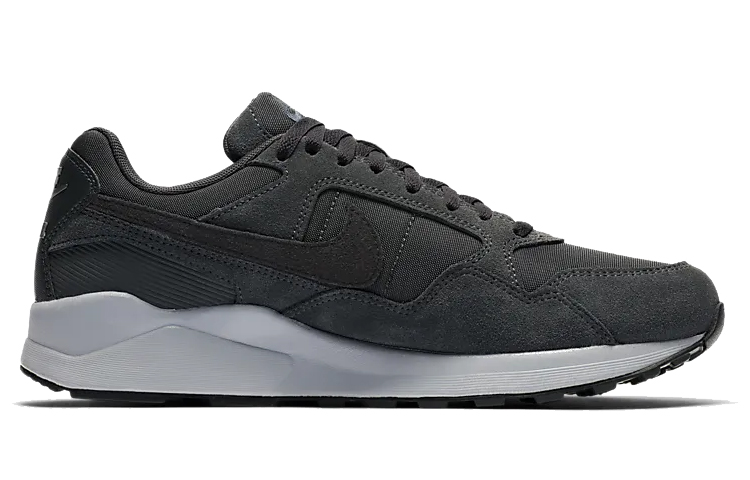 Order Nike Air Pegasus 92 Lite SE Grau CI9141-001