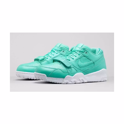 Nike Air Trainer 2 Prm Qs