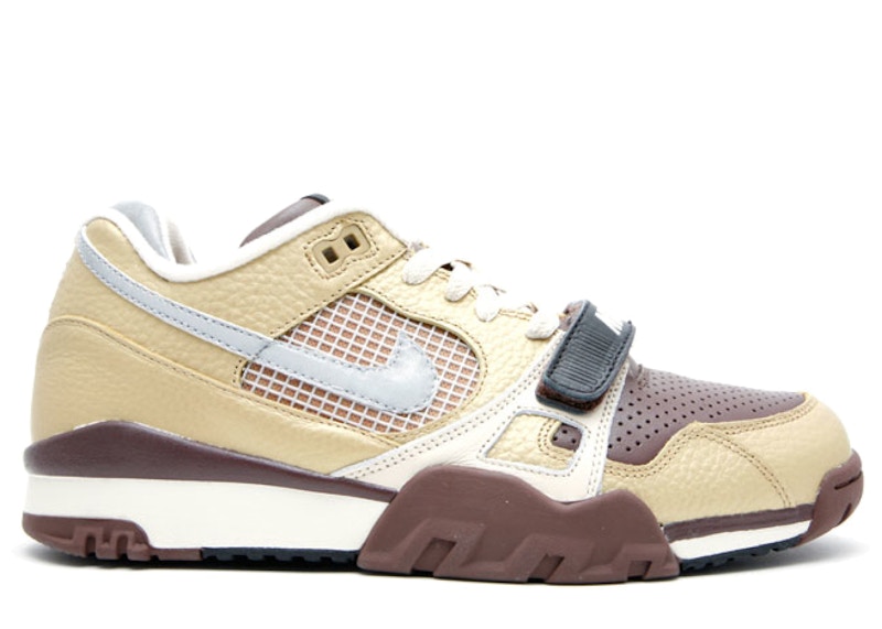 Nike Air Trainer 2 Sb 'Metallic Gold Reflect Silver' 318480-701