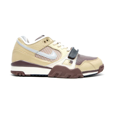 Nike Air Trainer 2 Sb 'Metallic Gold Reflect Silver'