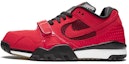 Buy Nike Air Trainer 2 SB Supreme 'Supreme' Sepatu Sneaker Pria 317646-661