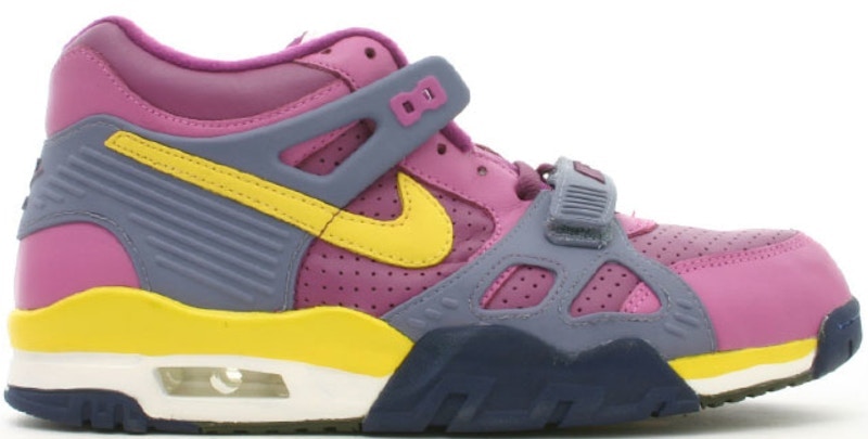 Nike Air Trainer 3 'Viotech' 679066-571