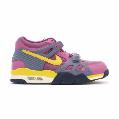 Nike Air Trainer 3 'Viotech'