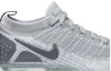 Order Nike Air VaporMax 2 Lizard AV7973-001