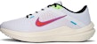 Kasut Lari Nike AIR WINFLO 10 SE 'Putih' FJ1053-100