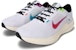 Kasut Lari Nike AIR WINFLO 10 SE 'Putih' FJ1053-100