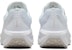 Nike Air Winflo 11 'Putih Photon Dust' FJ9509-100