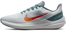 Buy Nike Air Winflo 9 'Platinum Tulen Jingga Total' DD6203-005