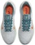 Shop Nike Air Winflo 9 'Platinum Tulen Jingga Total' DD6203-005