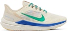 Buy Nike Air Winflo 9 Premium 'Coconut Milk Stadium Green' Lelaki DV8997-100