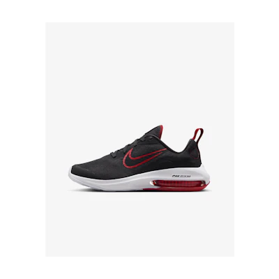 Nike Air Zoom Arcadia 2