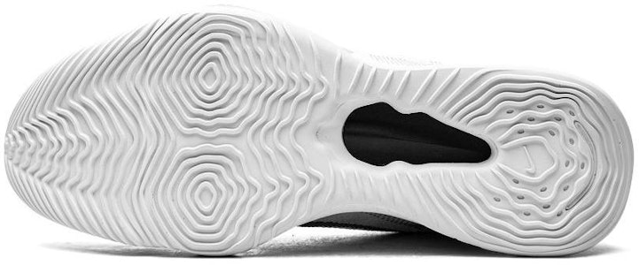 Nike Air Zoom BB NXT TB 'Silver Datar' CK5879-102 Purchase Nike Air Zoom BB NXT TB 'Silver Datar' CK5879-102