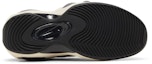 Shop Nike Air Zoom Flight 95 'Hoops' Kasut Sukan Retro. DX3955-100