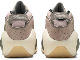Details for Nike Air Zoom Flight 95 珍珠粉 941943-600