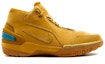 Order Nike Air Zoom Generation 2004 'Wheat' Lelaki Tanah Warna Keemasan 308214-771