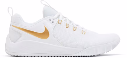 Nike Air Zoom Hyperace 2 SE 'White Metallic Gold' DM8199-170 Nike Air Zoom Hyperace 2 SE 'White Metallic Gold' DM8199-170