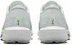 Shop Nike Air Zoom Infinity Tour 2 Golf Lebar 'Barely Green Strike' FD0218-300
