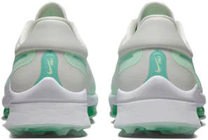 Details for Nike Air Zoom Infinity Tour NEXT% Wide 'White Washed Teal' DM8446-143
