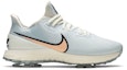Buy Nike Air Zoom Infinity Tour NRG 'Seersucker' Lelaki dan Wanita CZ0195-400