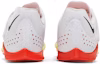 Details for Nike Air Zoom Long Jump Elite 'Rawdacious' DJ5258-100