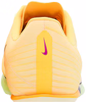 Cheap Nike Air Zoom Maxfly 2 ''Citron Pulse Volt Ice'' Lelaki Wanita Sukan FD8395-800