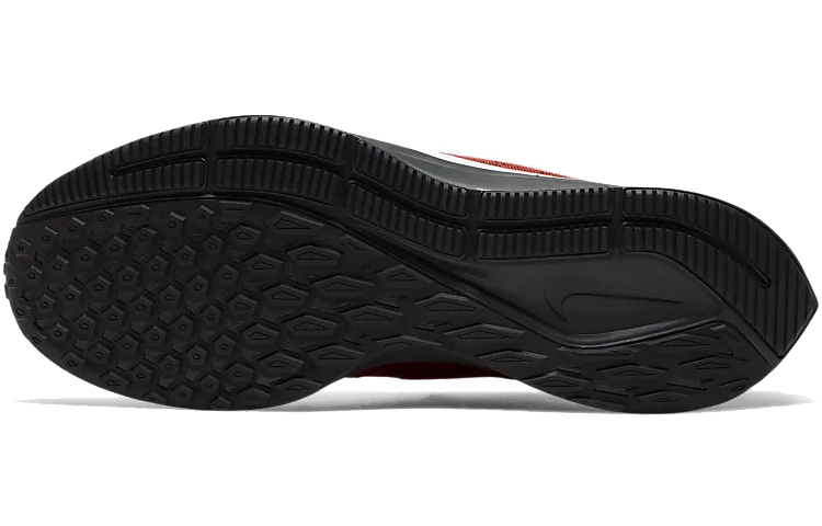 Purchase Nike Air Zoom Pegasus 36 'Oregon State' Sepatu Olahraga CI2078-800