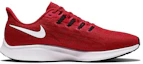 Order Nike Air Zoom Pegasus 36 TB '團隊深紅' BV1773-602