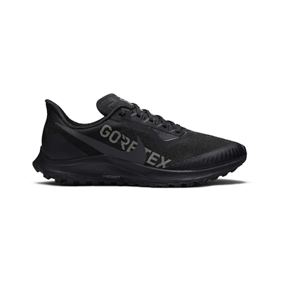 Nike Air Zoom Pegasus 36 Trail GTX 'Black'