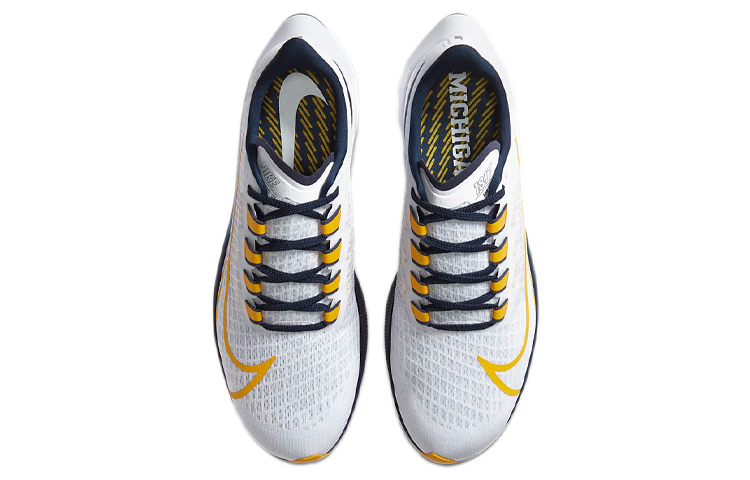 Shop 耐克Air Zoom Pegasus 37 '密歇根' CZ5384-100