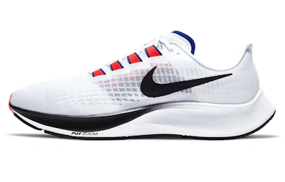 Nike Air Zoom Pegasus 37 'White Concord' DD8348-100