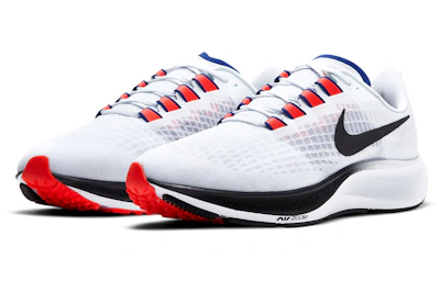 Nike Air Zoom Pegasus 37 'White Concord' DD8348-100