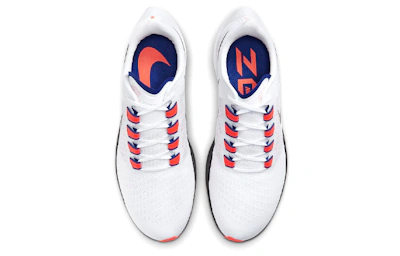 Nike Air Zoom Pegasus 37 'White Concord' DD8348-100