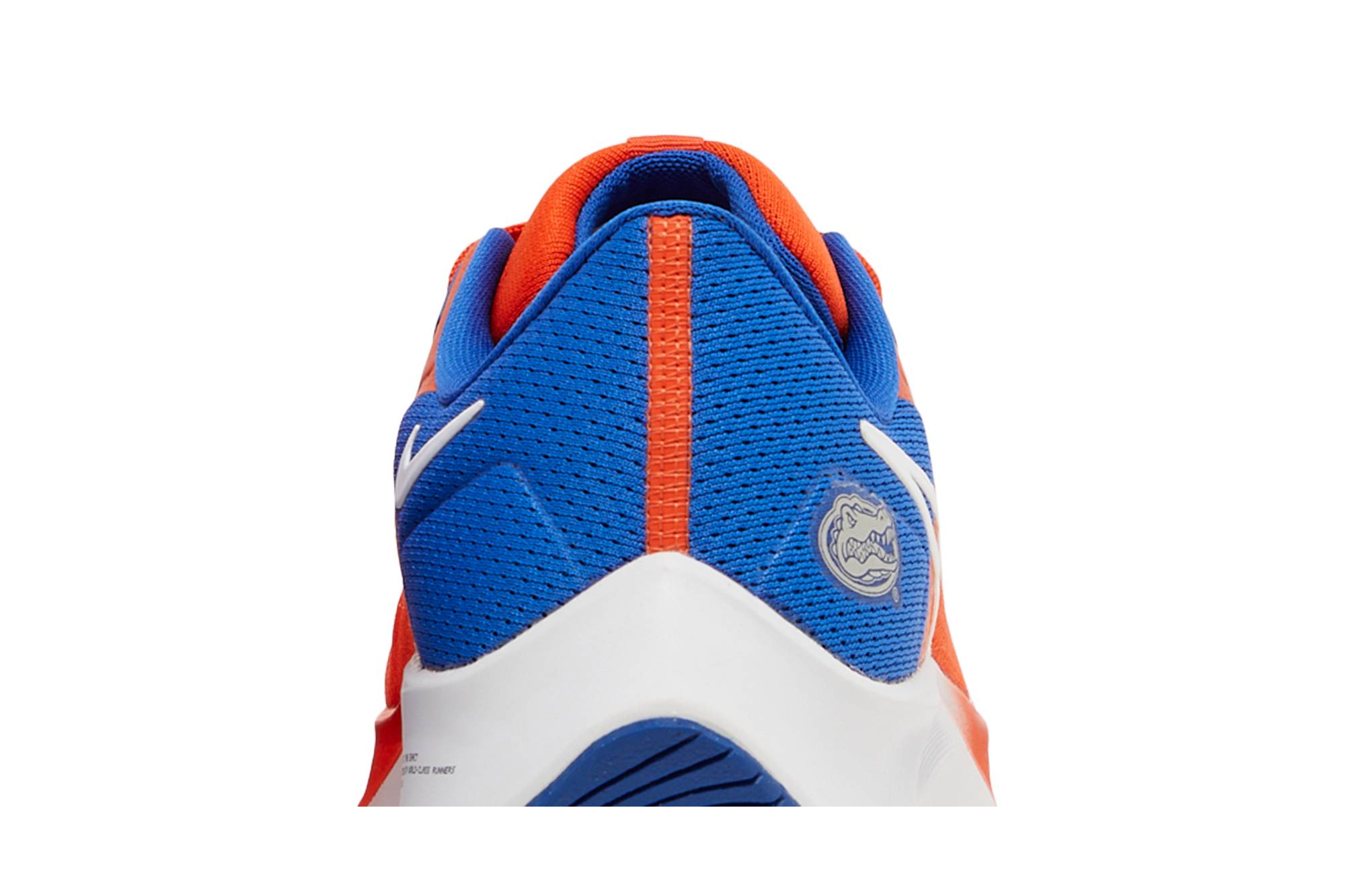 Sizing 耐克Air Zoom Pegasus 38 "佛罗里达" DJ0826-800