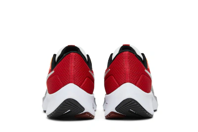 Nike Air Zoom Pegasus 38 Sail Gym Red Dune Red DQ4499-101