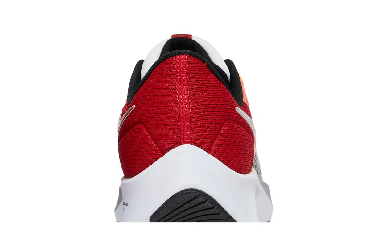 Nike Air Zoom Pegasus 38 Sail Gym Red Dune Red DQ4499-101