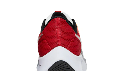 Nike Air Zoom Pegasus 38 Sail Gym Red Dune Red DQ4499-101