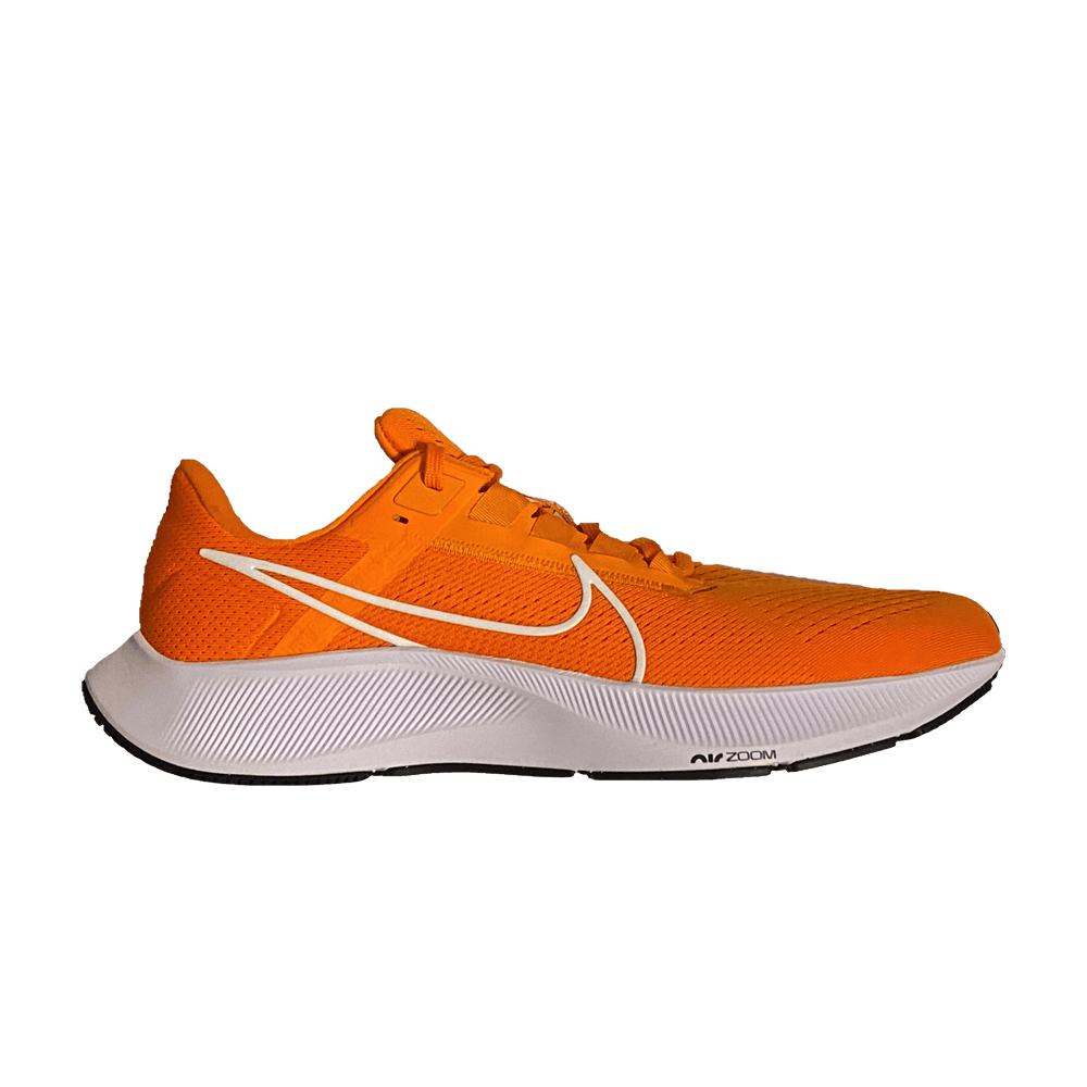 Nike Air Zoom Pegasus 38 TB 'Bright Ceramic'