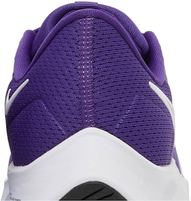 Nike Air Zoom Pegasus 38 TB Court Purple CZ1893 500 CZ1893 500