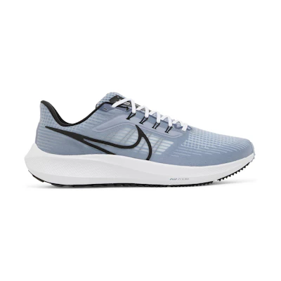 Nike Air Zoom Pegasus 39 'Ashen Slate'