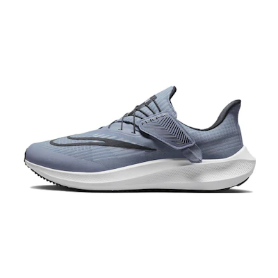 Nike Air Zoom Pegasus 39 'Ashen Slate'